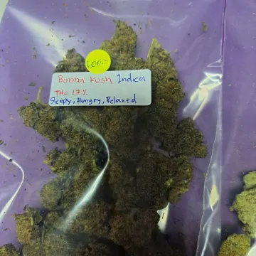 White Truffle cannabis bud on Ganjacy.com