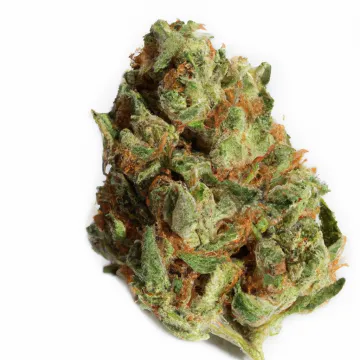 A Cherry Princess Cannabis bud from Ganjacy.com