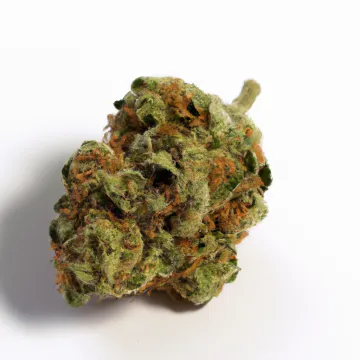 Strawberry Cookies cannabis bud on Ganjacy.com
