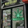 Magic Leaf (asoke weed dispensary)