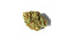 A Slurbert cannabis bud on Ganjacy.com