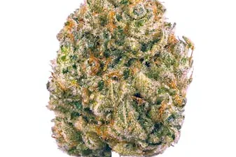 AK-47 strain from Ganjacy.com