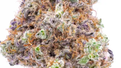 Picture of a Platinum Jelly Cannabis bud from Ganjacy.com