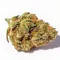 A Sour Florida OG Cannabis Bud on Ganjacy.com